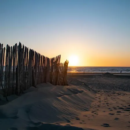 Vitamin Sea * Zandvoort