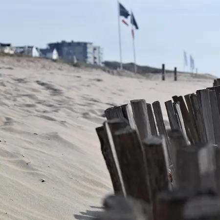 Vitamin Sea Διαμέρισμα Zandvoort